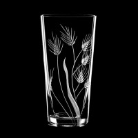  Water glass set "Herbs", 410 ml 